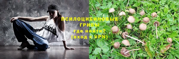 соль ск Алзамай