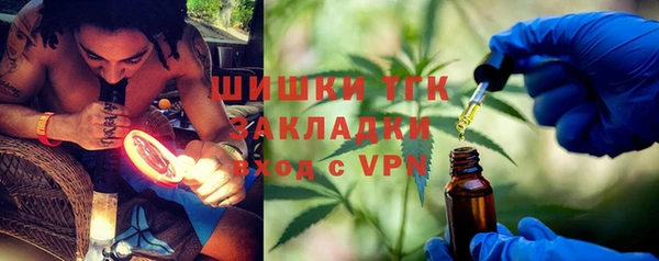 соль ск Алзамай