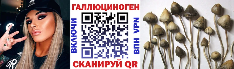 Галлюциногенные грибы мухоморы  Агрыз 